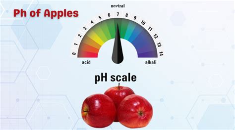 q251.ph app